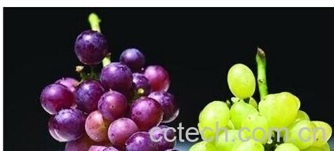 果蔬百科葡萄和提子-0