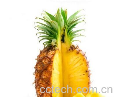 果蔬百科台湾凤梨和菠萝-0