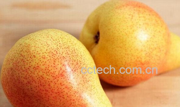 果蔬百科西洋梨-0