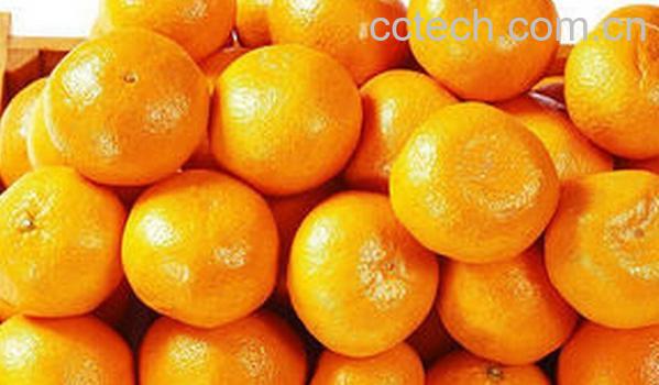 果蔬百科吃桔子上火吗-0