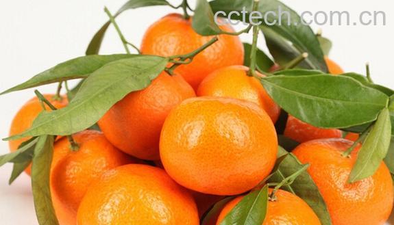 果蔬百科孕妇能吃橘子吗-0
