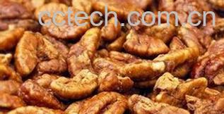 果蔬百科炒桃仁-0