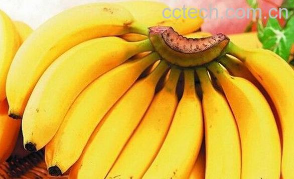 果蔬百科孕妇吃香蕉的好处-0