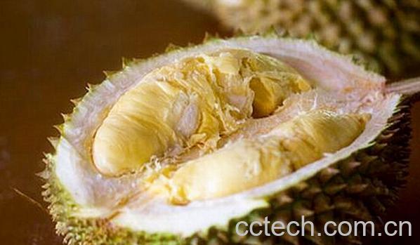 果蔬百科榴莲-0