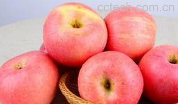 果蔬百科苹果-0