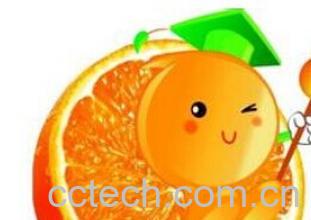 果蔬百科橙子-0