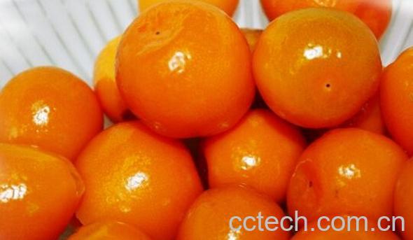 果蔬百科咸柑橘-0
