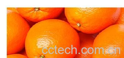 果蔬百科柑橘-0