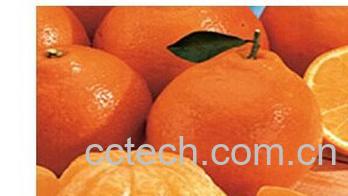 果蔬百科柑橘类水果-0