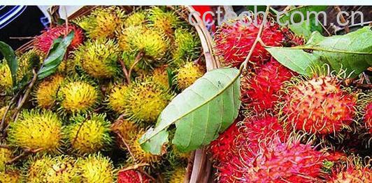 果蔬百科水果红毛丹-0