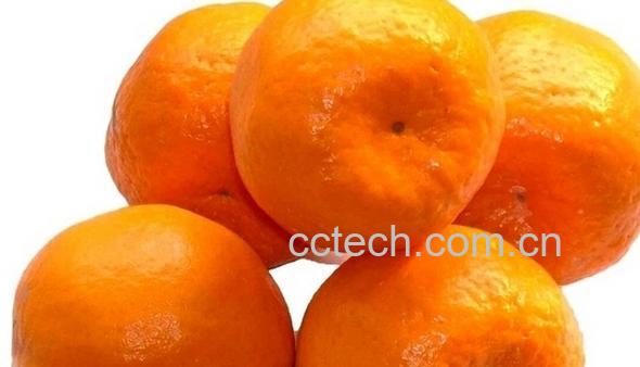 果蔬百科来月经能吃柑橘吗-0