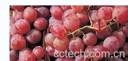 果蔬百科新疆红提-0