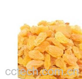 果蔬百科红提葡萄干-0