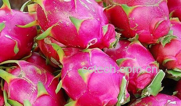 果蔬百科糖尿病人吃什么水果-0