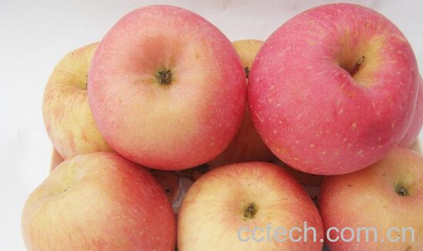 果蔬百科空腹吃苹果好吗-0