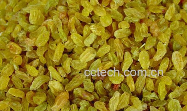 果蔬百科葡萄干-0