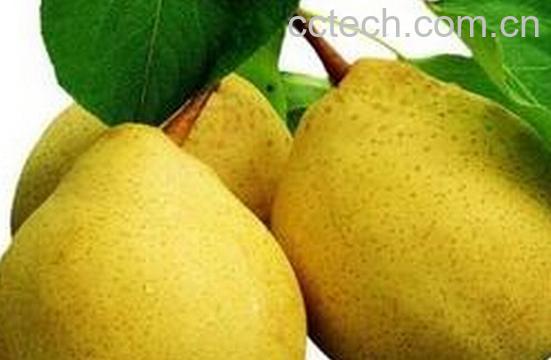 果蔬百科咳嗽有痰吃什么水果-0