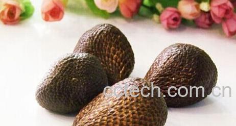 果蔬百科蛇皮果-0