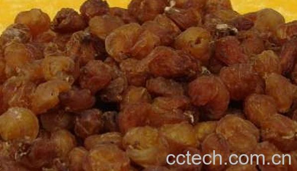 果蔬百科龙眼肉-0