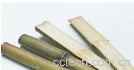 果蔬百科甘蔗的-0