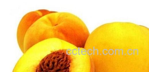 果蔬百科黄桃-0