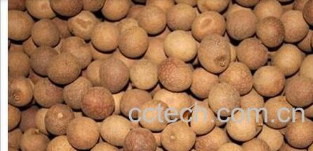 果蔬百科桂圆干泡水喝-0