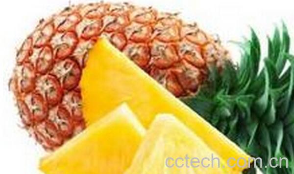 果蔬百科菠萝和凤梨的区别-0