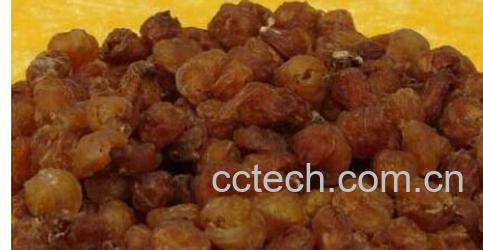 果蔬百科龙眼干-0