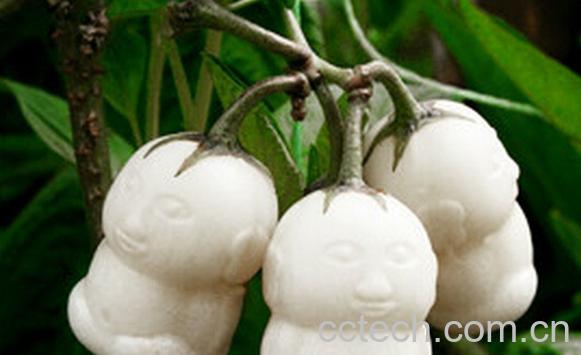 果蔬百科孕妇能吃人参果吗-0