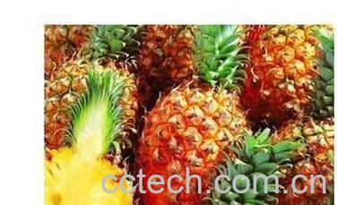 果蔬百科凤梨和菠萝的区别-0