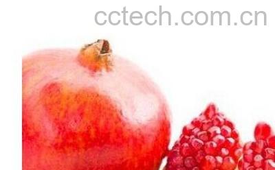 果蔬百科石榴-0