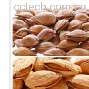 果蔬百科巴旦木和杏仁-0