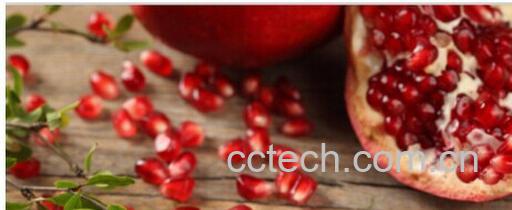 果蔬百科石榴-0