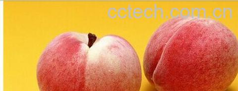 果蔬百科桃子-0