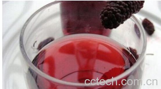 果蔬百科桑葚酒-0