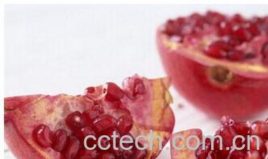 果蔬百科石榴-0