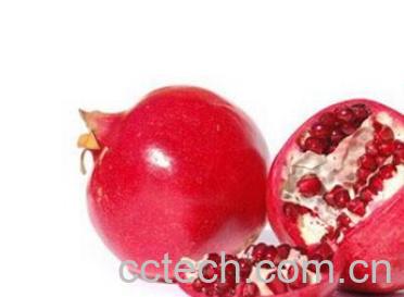 果蔬百科石榴-0