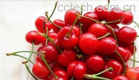 果蔬百科樱桃核-0