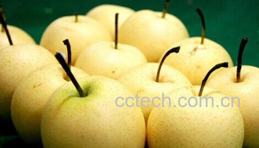 果蔬百科梨-0