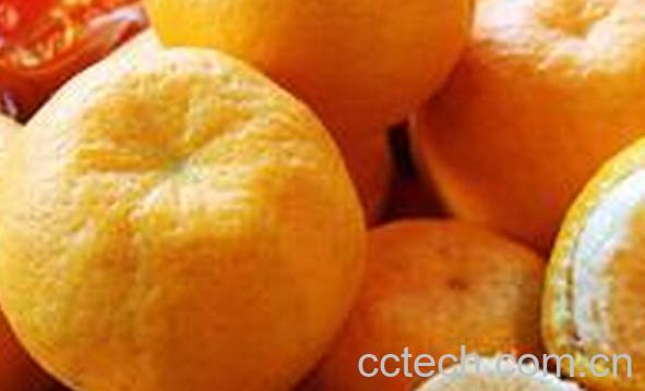 果蔬百科芦柑和橘子的区别-0