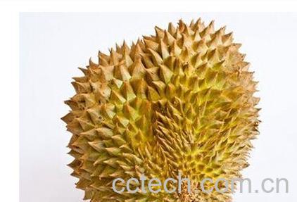 果蔬百科榴莲-0