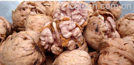 果蔬百科核桃-0