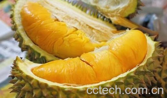 果蔬百科榴莲-0