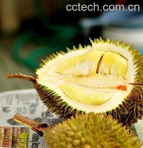 果蔬百科榴莲-0