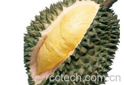 果蔬百科榴莲的壳-0