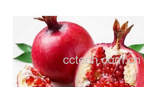 果蔬百科吃石榴籽-0