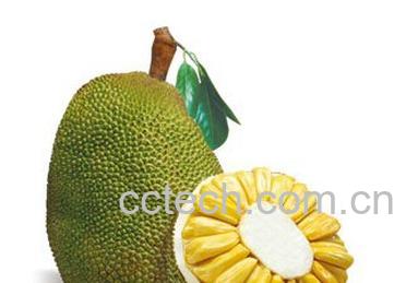 果蔬百科榴莲和菠萝蜜哪个贵-0