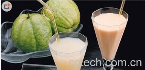 果蔬百科番石榴-0