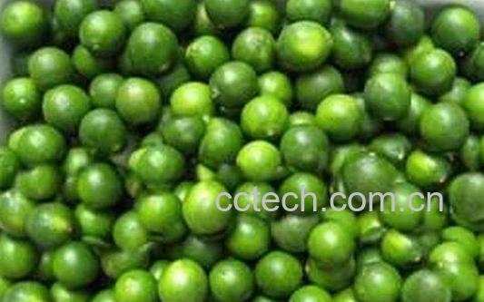 果蔬百科酸桔子-0