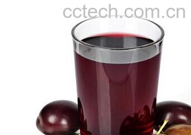 果蔬百科西梅汁-0